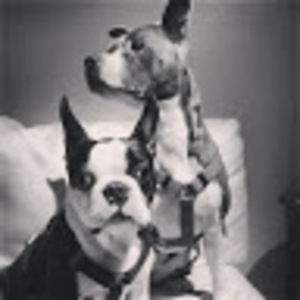 Meet your Posher, Veronica